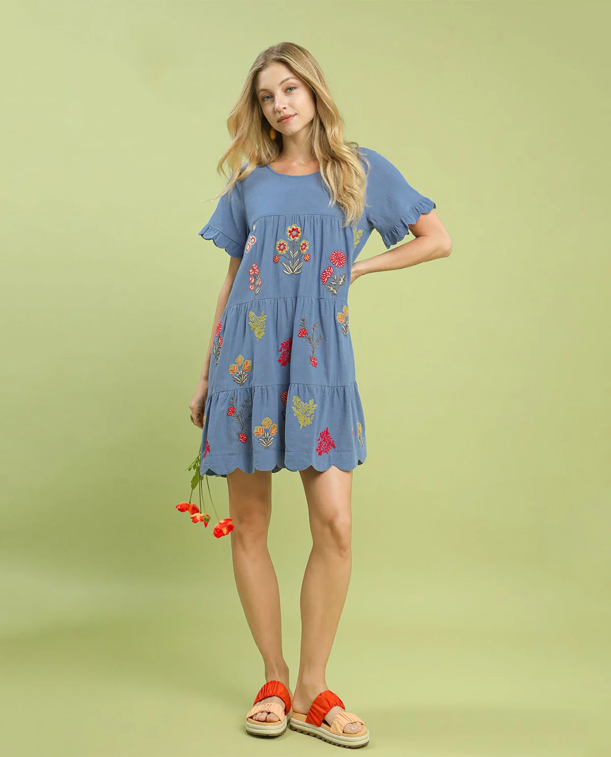 Embroidered Tiered Babydoll Dress - Image 3